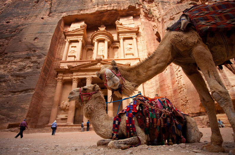 Camels Treasury Jordan